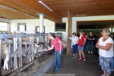 LV Kneipp Vorarlberg Hol Dir Den Sommer Ins Glas Biohof Lingenhel Doren 13